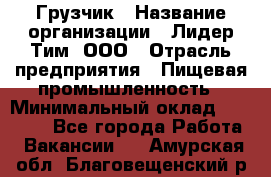 Грузчик › Название организации ­ Лидер Тим, ООО › Отрасль предприятия ­ Пищевая промышленность › Минимальный оклад ­ 20 000 - Все города Работа » Вакансии   . Амурская обл.,Благовещенский р-н